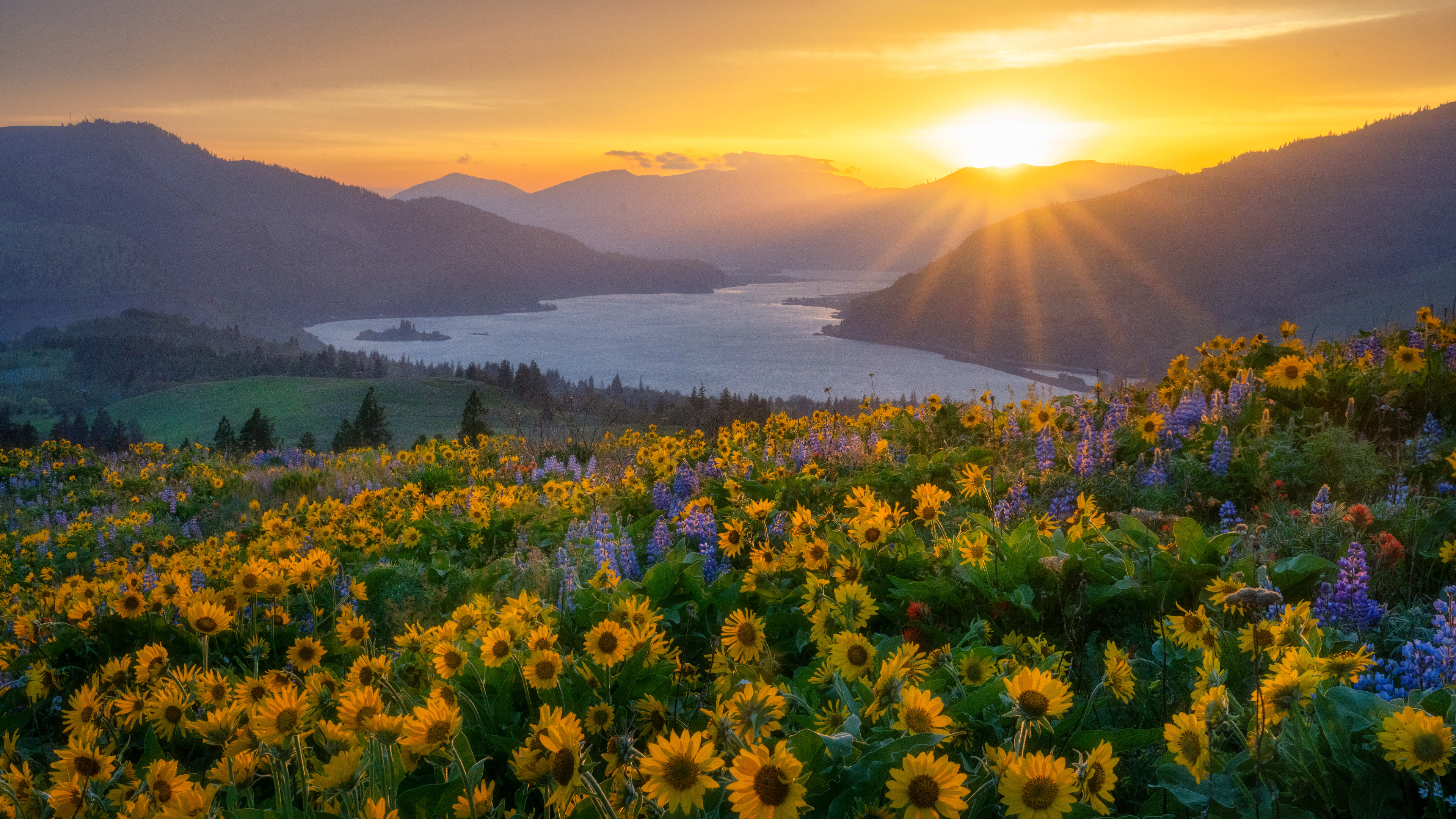 April-WEEK2做题笔记